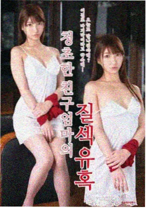 剧集条目 034 旧钟楼的四季封套
